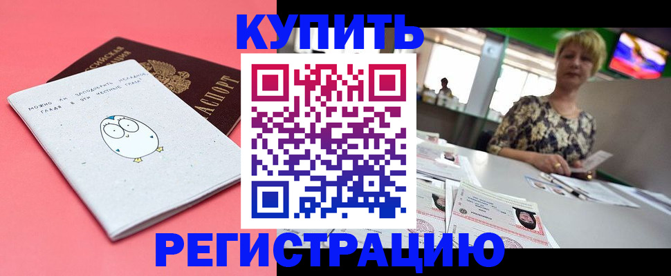 прописка для школы в Сольцах